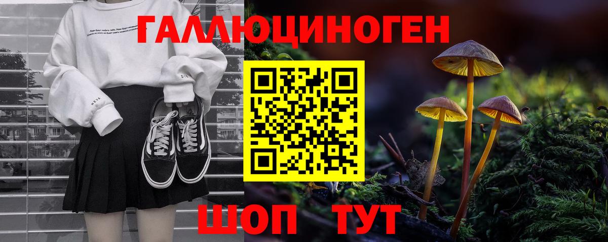 купить наркотики сайты  Вход с VPN  Унеча  Галлюциногенные грибы Psilocybe 