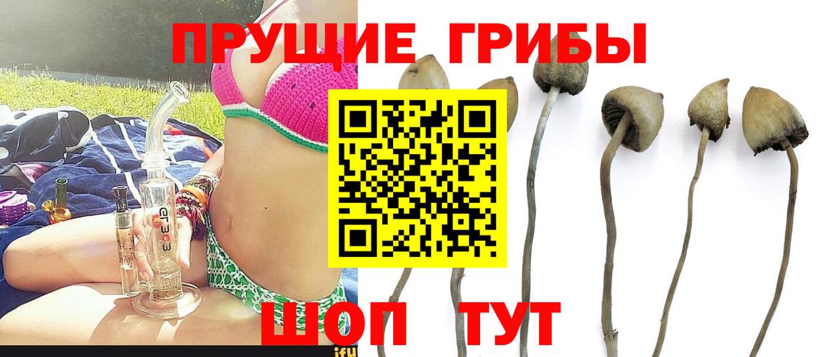 Галлюциногенные грибы ЛСД Унеча